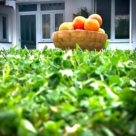 Numero20 Nocleg ze śniadaniem Anacapri (Isola di Capri)