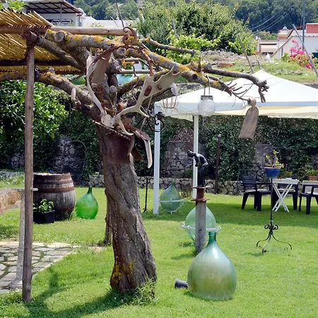 Nocleg ze śniadaniem Numero20 4*